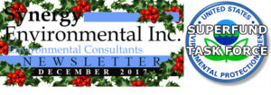 Synergy Environmental-Holiday-Logo